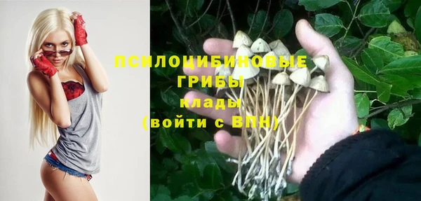 марихуана Тайга